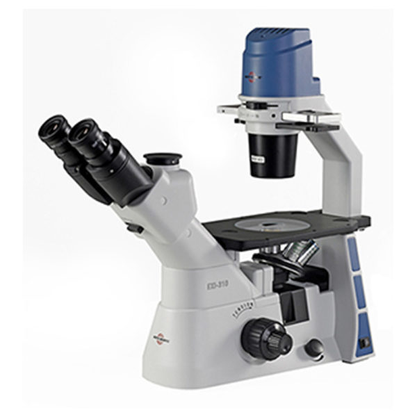 Accu-Scope EXI-310-PH Inverted Phase Microscope