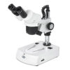 Motic SFC-11B N2GG Microscope