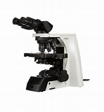 white microscope with black top