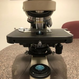 Nikon Labophot 2 used microscope