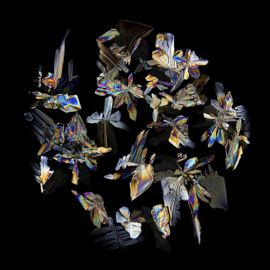 Sugar crystals imaged using polarized microscopy.