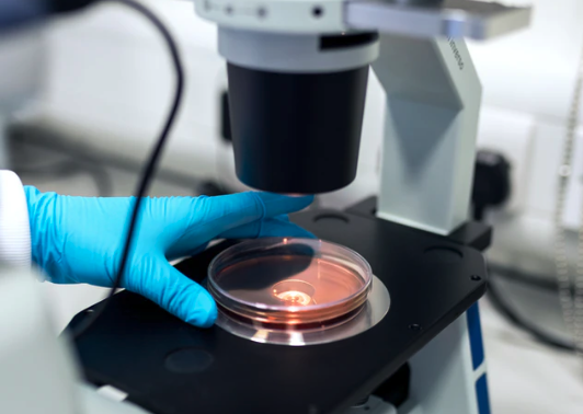 Microscope Preventative Maintenance inspection, woman inspecting microscope