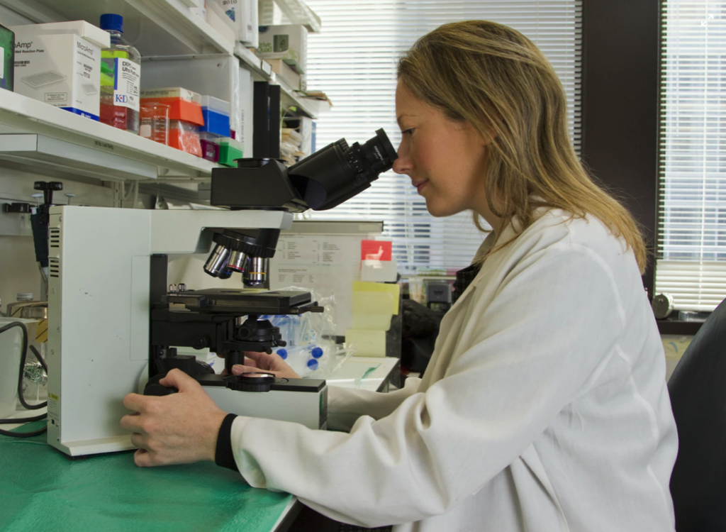 Researcher using pathology microscopes